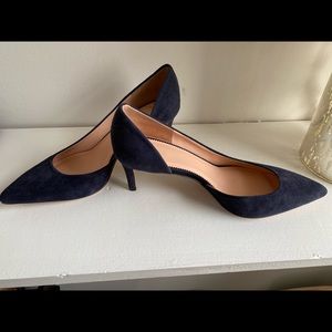 J Crew Lucie Suede Pumps NWOT
